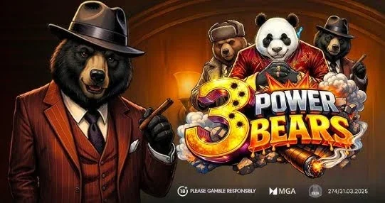 3 Power Bears